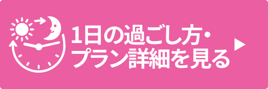 家族のモデルプラン